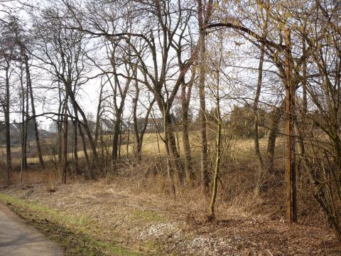 Oberleitungsmasten bei Scharnhausen