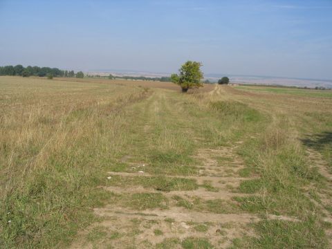 Zwischen Rohnstedt und Groenehrich