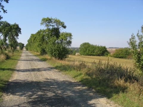 Zwischen Westgreuen und Rohnstedt