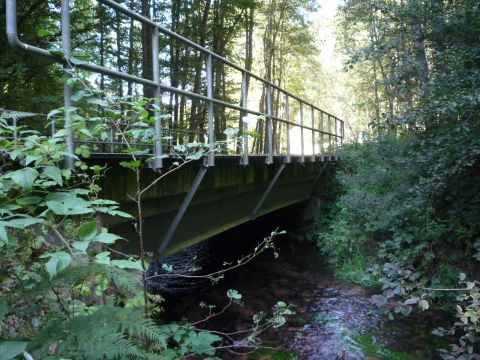 Brcke ber den Speyerbach