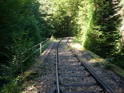 Brcke ber den Speyerbach