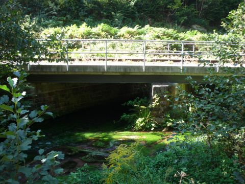 Brcke ber den Speyerbach