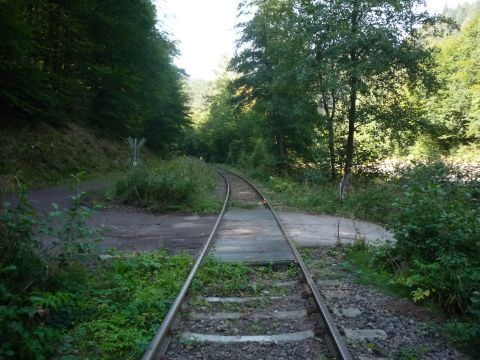 Bahnbergang ber einen Forstweg