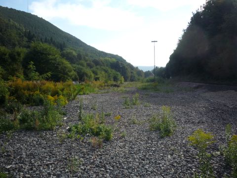 Gterbahnhof Lambrecht