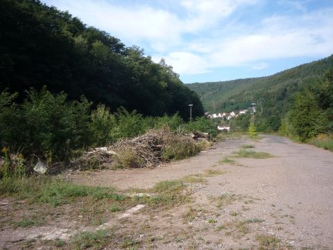 Gterbahnhof Lambrecht