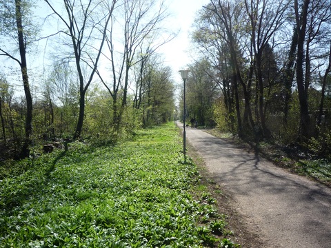 Zwischen Heidelberg und Eppelheim