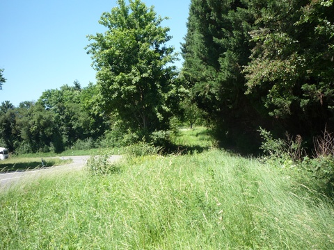 Weiter in Richtung Speyer