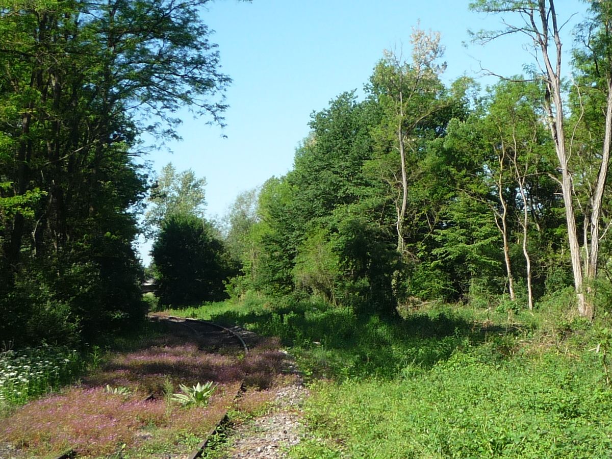 Alte Trasse nach Talhaus