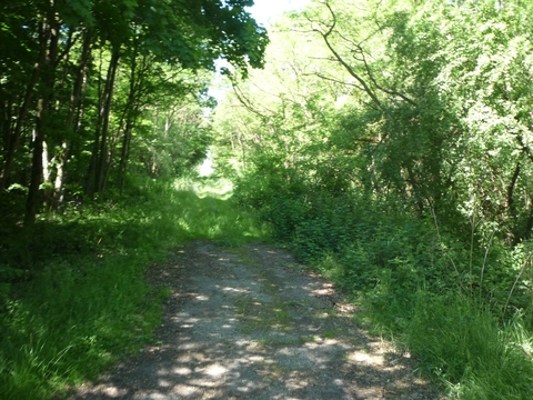 Alte Trasse nach Talhaus