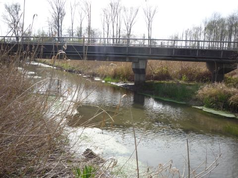 Brcke ber den Riedkanal