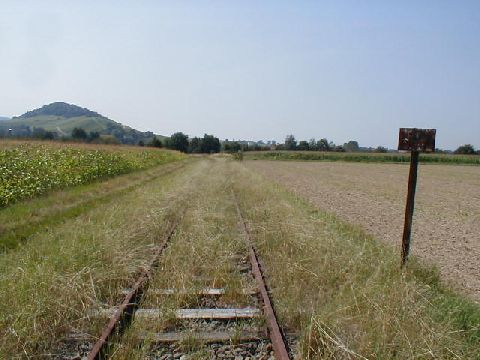 Zwischen Staufen und Grunern