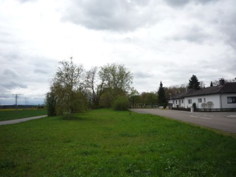 Zwischen Linkenheim und Leopoldshafen