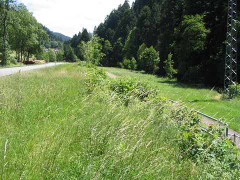 Brcke beim Hofbauernhof