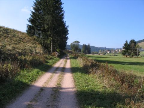 Zwischen Schnenbach und Furtwangen