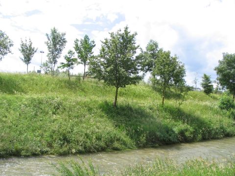 Brcke ber die Eschach