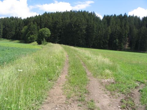 Zufahrt zum Depot