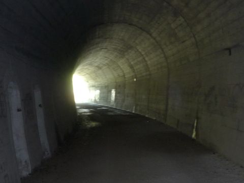 Im Autunnel