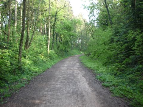 Einschnitt bei Hofen