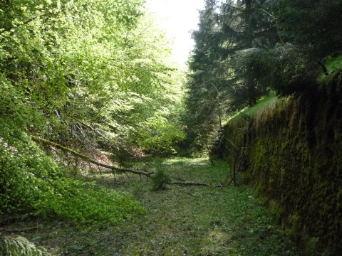 Einschnitt vor dem Wettebachtal-Viadukt