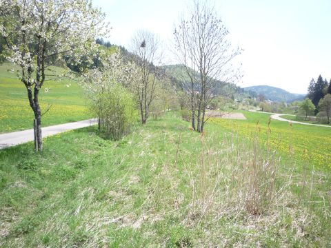 Zwischen Harras-Obernheim und Reichenbach