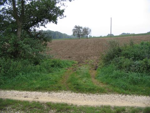 Bachdurchlass bei Hofwiesen
