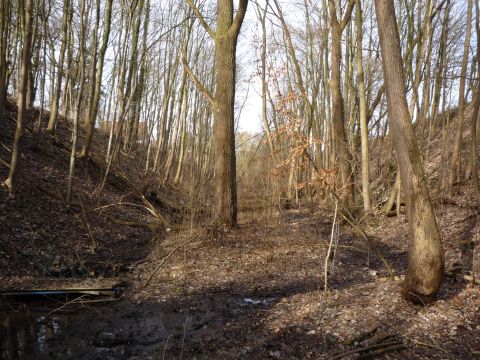 Zwischen Bahnwrterhaus und Wilhelmshof