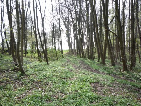 Zwischen Eichelberg und Elsenz