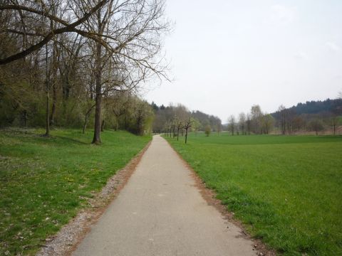 Zwischen Odenheim Ost und Tiefenbach