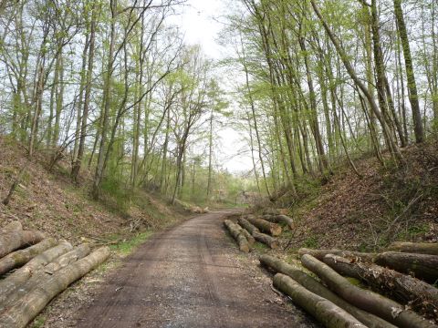 Zwischen Tiefenbach und Eichelberg