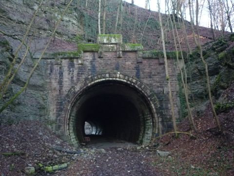 Ostportal des Erlesraintunnels