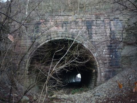 Westportal des Erlesraintunnels