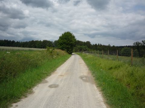 Zwischen Laudenberg und Langenelz