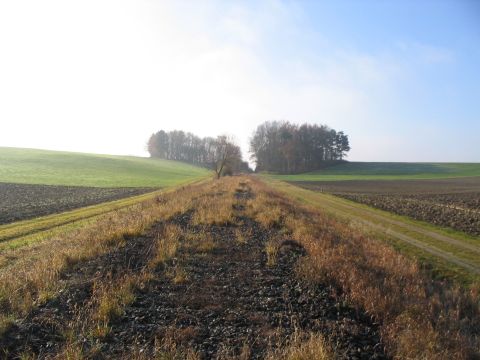 Zwischen Dinkelscherben und Oberschneberg