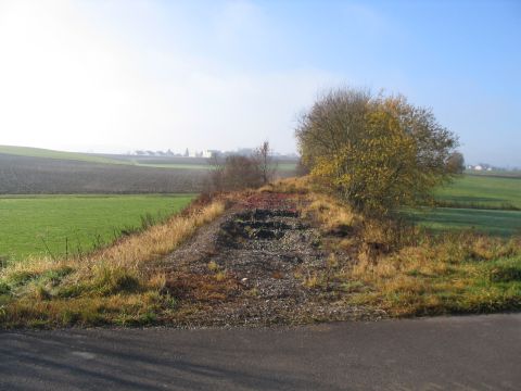 Zwischen Dinkelscherben und Oberschneberg