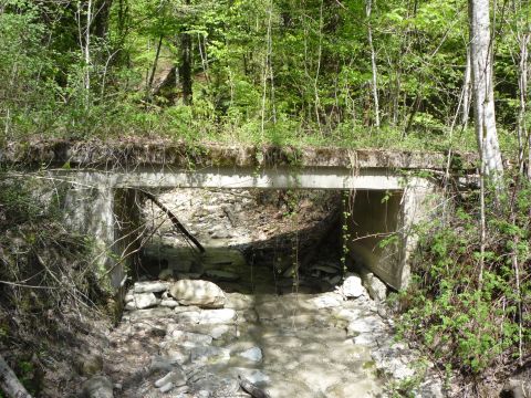 Brcke bei der Haltestelle Fluh