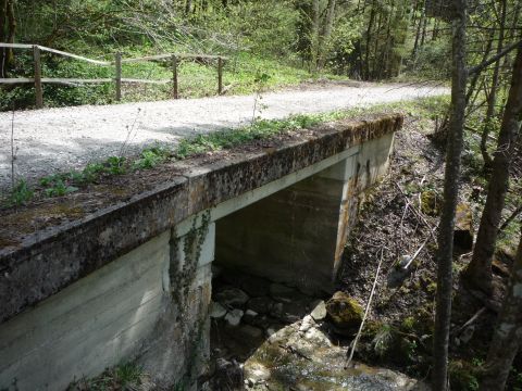 Brcke zwischen Rotachtunnel und Doren-Sulzberg