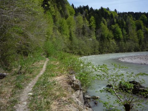 Zwischen Langen-Buch und Rotachtunnel