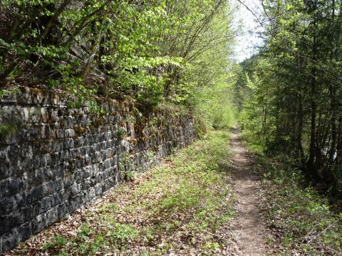 Zwischen Langen-Buch und Rotachtunnel