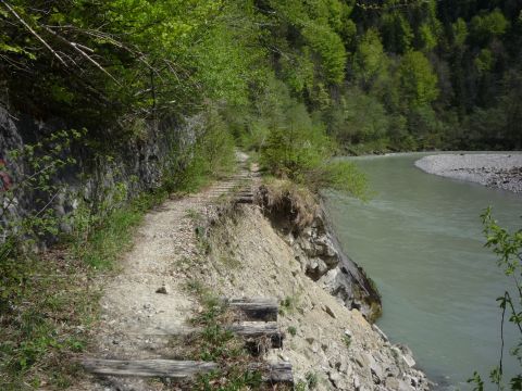 Zwischen Rickenbachtunnel und Wirtatobel