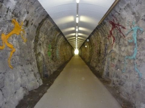 Riedenburgtunnel