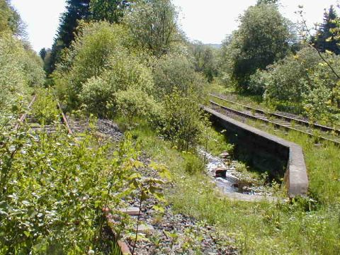 Abzweig Oberwildflecken