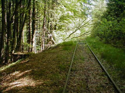 bergabebahnhof Oberwildflecken