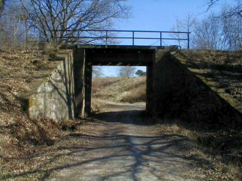 Brücke über einen Forstweg