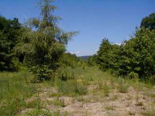 Gterbahnhofsgelnde, Blick nach Homberg