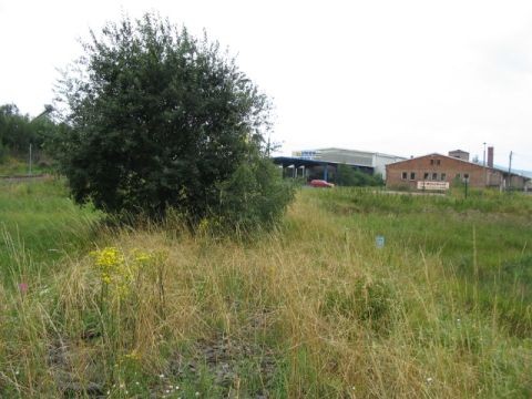 Zufahrt Landhandel