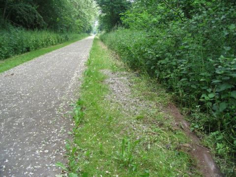 Abzweig Papierfabrik Hertwig