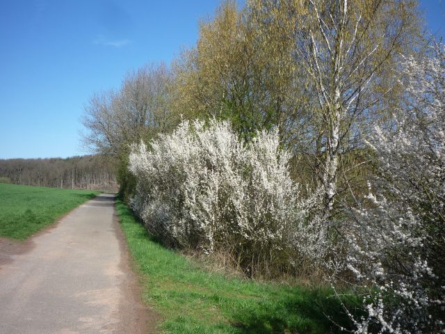 Vorlufiges Ende des Radwegs auf der Trasse