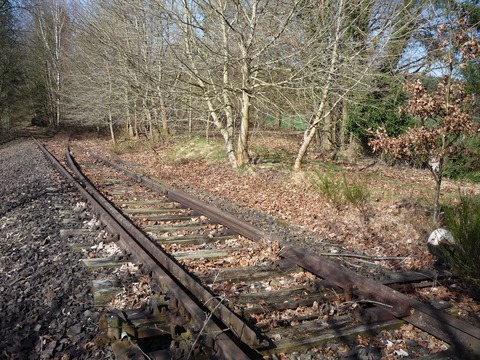 Einfahrt nach Alsenborn