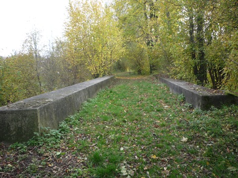 Brcke ber den Waldangelbach