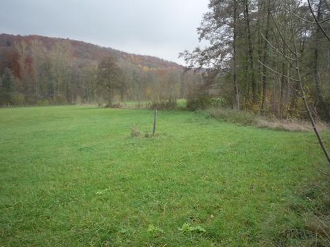 Zwischen Dielheim und Horrenberg